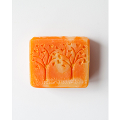 Medulienka  s pomarančom